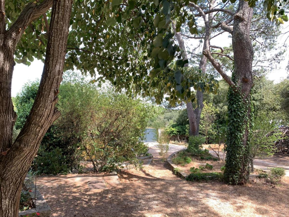 Villa Mazet Proche Golf Nimes Exterior foto