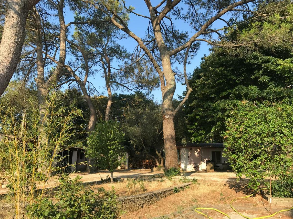 Villa Mazet Proche Golf Nimes Exterior foto